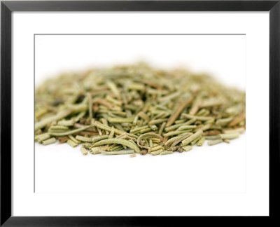 Rosemary, Dried Leaves by Geoff Kidd Pricing Limited Edition Print image