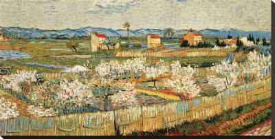 Peach Blossoms In The Crau, C.1889 by Vincent Van Gogh Pricing Limited Edition Print image