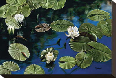 White Water Lilies by Pamela Jablonski Pricing Limited Edition Print image
