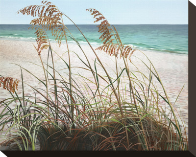 Sea Oats by Pamela Jablonski Pricing Limited Edition Print image