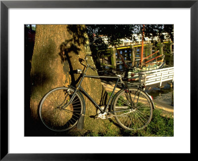 Bicycle And Tree, Hoorn, North Holland by Walter Bibikow Pricing Limited Edition Print image