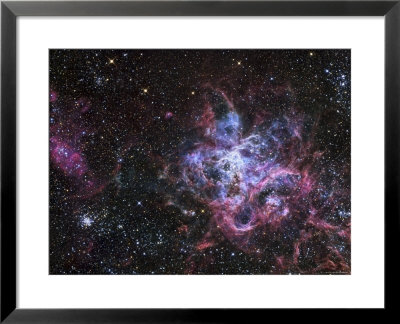 The Tarantula Nebula by Stocktrek Images Pricing Limited Edition Print image