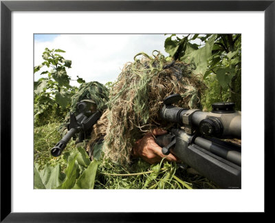 Airmen Hidden In Brush Wearing Their Ghille Suits by Stocktrek Images Pricing Limited Edition Print image