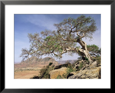 On The Flank Of Mount Workamba, Tambien Region, Tigre Province, Ethiopia, Africa by Bruno Barbier Pricing Limited Edition Print image