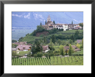 Traminer, The Town That Gave Its Name To Gewurztraminer Wine, Bolzano, Alto Adige, Italy by Michael Newton Pricing Limited Edition Print image