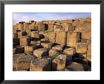 The Giants Causeway, Unesco World Heritage Site, Co. Antrim, Ulster, Northern Ireland by Roy Rainford Pricing Limited Edition Print image