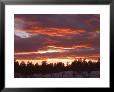Sunset, Bryce Canyon National Park, Utah, Usa by Thorsten Milse Pricing Limited Edition Print image