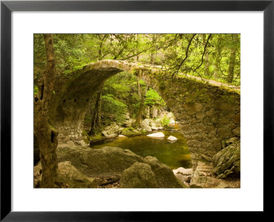 Genoan Bridge In Vegetation Of Gorges De Spelonca, Ponte De Zaglia, Corsica, France by Trish Drury Pricing Limited Edition Print image