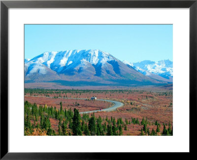 Road Through Park, Autumn, Denali National Park, Alaska, Usa by Terry Eggers Pricing Limited Edition Print image