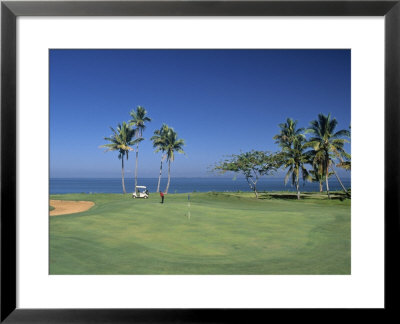 Denarau Golf Course, Danarau, Viti Levu, Fiji by Neil Farrin Pricing Limited Edition Print image