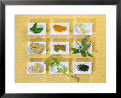Asian Herbs And Spices by Christiane Krüger Pricing Limited Edition Print image