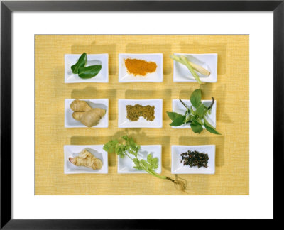 Asian Herbs And Spices by Christiane Kruger Pricing Limited Edition Print image