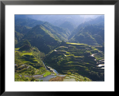 Rice Terraces Of Banaue, Luzon Island, Philippines by Michele Falzone Pricing Limited Edition Print image