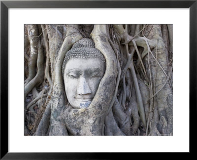 Buddha Head, Wat Phra Mahathat, Ayutthaya, Thailand by Michele Falzone Pricing Limited Edition Print image
