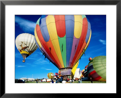 Hot Air Balloons At Annual Great Reno Balloon Race by Judy Bellah Pricing Limited Edition Print image