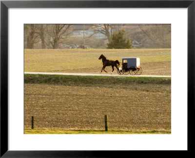 Amish Horse And Buggy, Pennsylvania by Tim Laman Pricing Limited Edition Print image