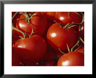 Tomatoes For Sale At A Market In Nice by David Evans Pricing Limited Edition Print image