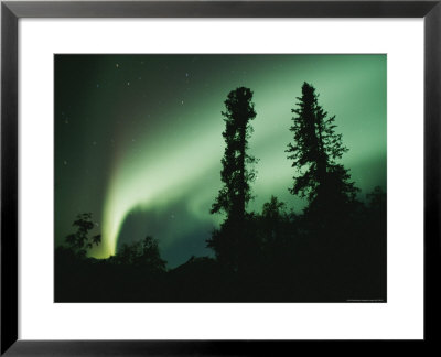 Red Northern Lights, Or Aurora Borealis, Illuminate The Night Sky by Rich Reid Pricing Limited Edition Print image