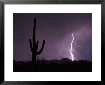 Single Lightning Bolt Strikes In The Desert During Monsoon Season, Arizona by Mike Theiss Pricing Limited Edition Print image
