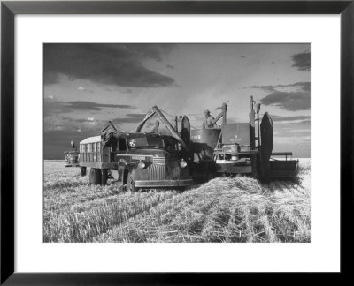 Combines And Crews Harvesting Wheat, Loading Into Trucks To Transport To Storage by Joe Scherschel Pricing Limited Edition Print image