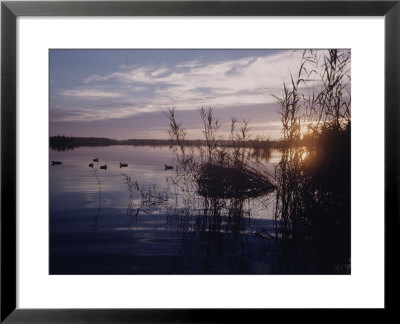 Texas Duck Hunting by Dmitri Kessel Pricing Limited Edition Print image