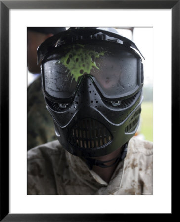 A Paintball Round Between The Eyes by Stocktrek Images Pricing Limited Edition Print image