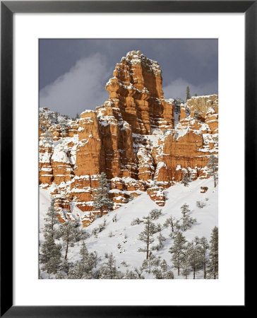 Red Rock Formations, Red Canyon, Dixie National Forest, Utah, Usa by James Hager Pricing Limited Edition Print image
