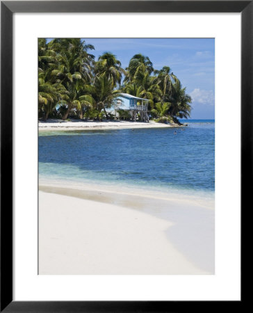 Belize, Ranguana Caye, Palm Trees And Beach by Jane Sweeney Pricing Limited Edition Print image