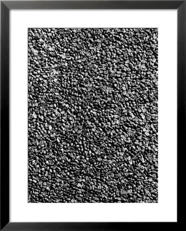 Coffee Beans by A. Villani Pricing Limited Edition Print image