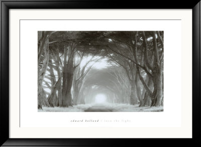 Into The Light by Edward Holland Pricing Limited Edition Print image