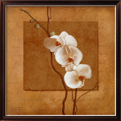 Golden Orchid I by Lee Carlson Pricing Limited Edition Print image