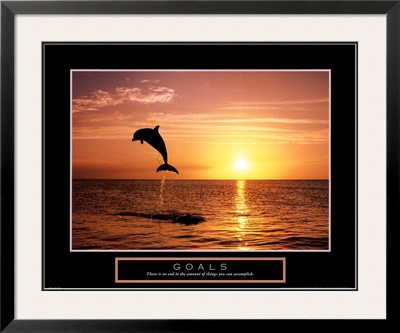 Goals - Dolphins by Craig Tuttle Pricing Limited Edition Print image
