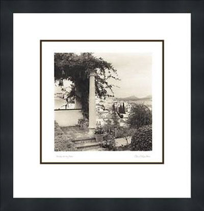 Jardin Del Rey Moro by Alan Blaustein Pricing Limited Edition Print image