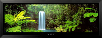 Millaa Millaa Falls, Queensland, Australia by Peter Lik Pricing Limited Edition Print image