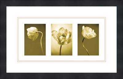 Caramel Blooms by Heather Johnston Pricing Limited Edition Print image