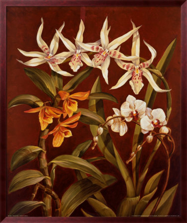 Orchid Trio I by Rodolfo Jimenez Pricing Limited Edition Print image