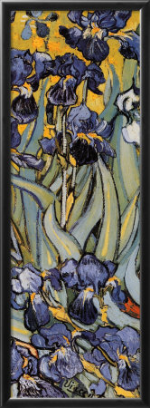 Irises by Vincent Van Gogh Pricing Limited Edition Print image