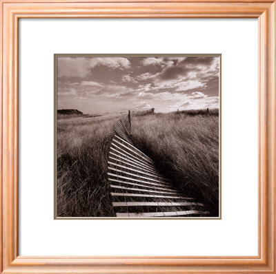 Dune Fence by Michael Kahn Pricing Limited Edition Print image