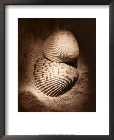 Cockles by Laurel Wade Pricing Limited Edition Print image