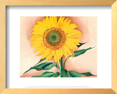 A Sunflower From Maggie, 1937 by Georgia O'keeffe Pricing Limited Edition Print image