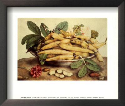 Natura Morta Con Ciliegie by Giovanna Garzoni Pricing Limited Edition Print image