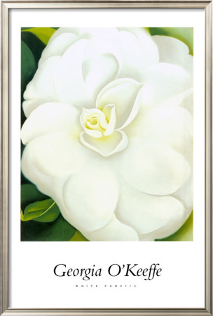 White Camelia by Georgia O'keeffe Pricing Limited Edition Print image