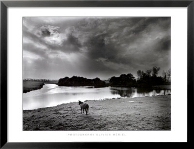 Cheval Contemplant La Riviere, Reville by Olivier Meriel Pricing Limited Edition Print image