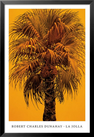 La Jolla by Robert Charles Dunahay Pricing Limited Edition Print image