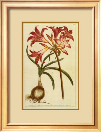 Plate No. 24 by T. Jefferys Pricing Limited Edition Print image