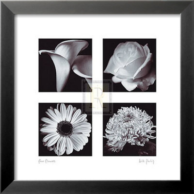 Four Flowers by Bill Philip Pricing Limited Edition Print image