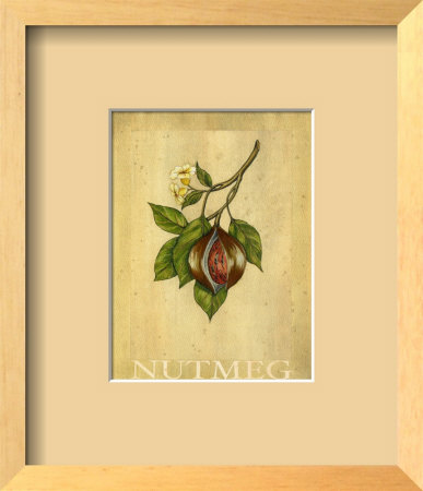 Nutmeg by Renee Bolmeijer Pricing Limited Edition Print image