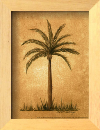 Palm Breeze I by Beth Yarbrough Pricing Limited Edition Print image