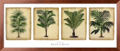 Tropical Palms by Pieter De Pannemaeker Pricing Limited Edition Print image