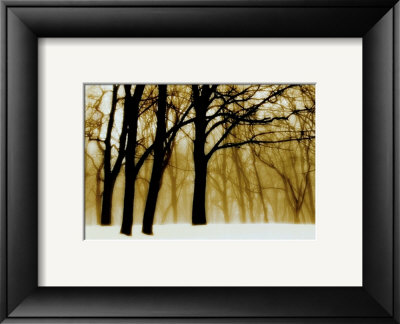 Past Dreams by David Winston Pricing Limited Edition Print image